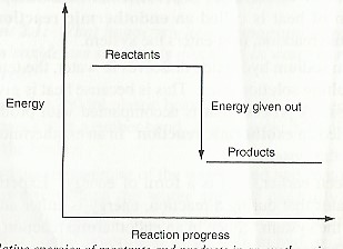 Fig 2 Relative energies of reactants and products in an exothermic reaction