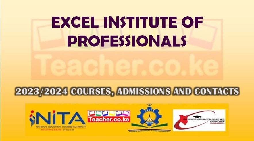 Excel Institute Of Professionals