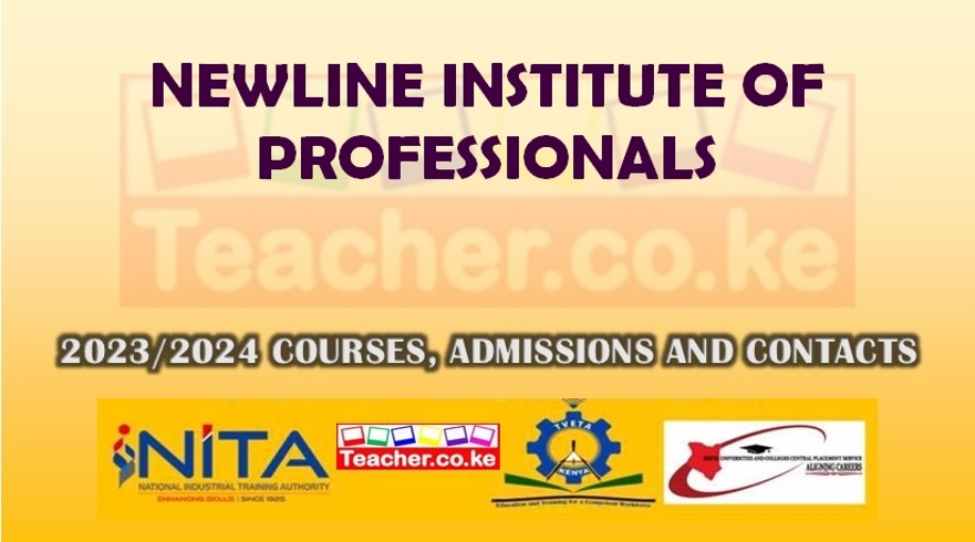 Newline Institute Of Professionals