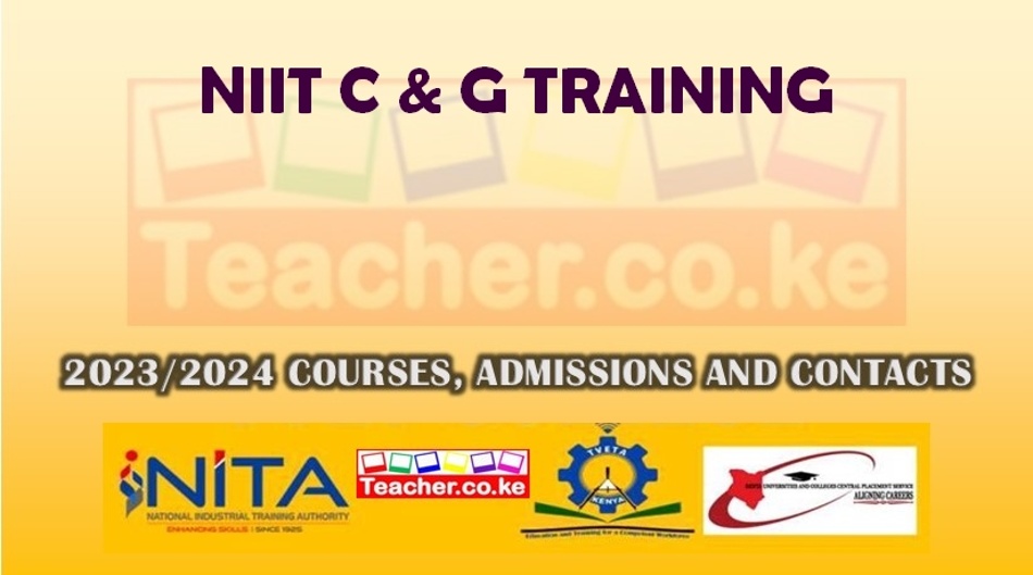 Niit C & G Training