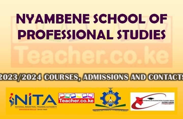 Nyambene School Of Professional Studies