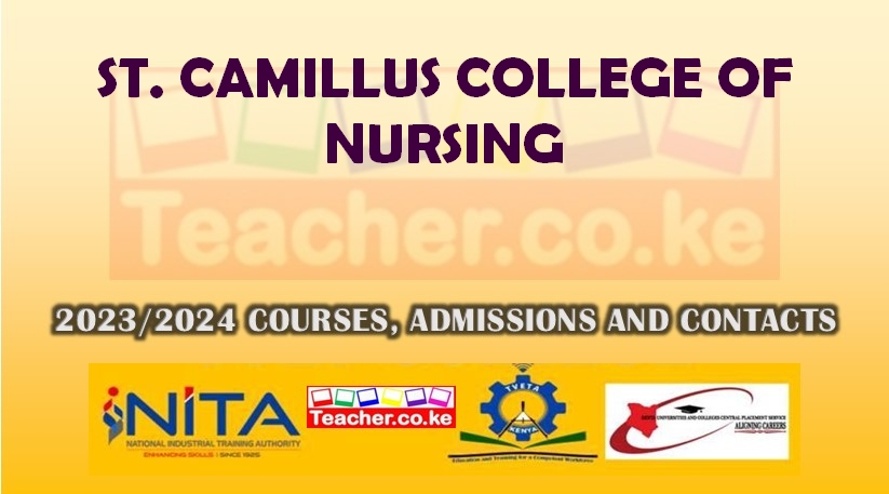 St. Camillus College Of Nursing