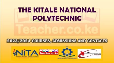 KITALE NATIONAL POLYTECHNIC COURSES CONTACTS FEES LOCATION AND visual data 4