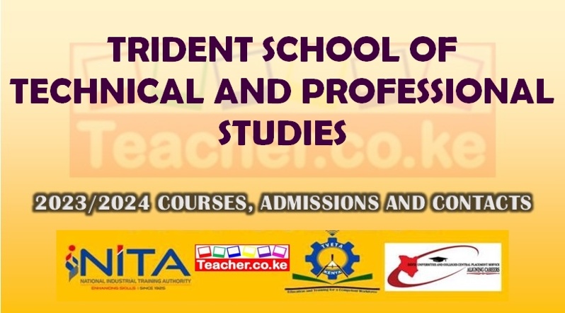 Trident School Of Technical And Professional Studies