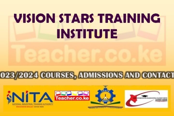Vision Stars Training Institute