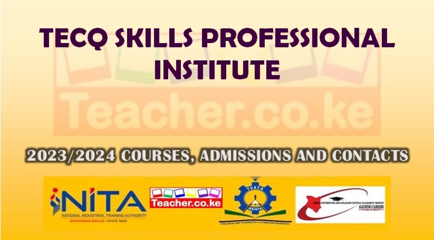 Tecq Skills Professional Institute