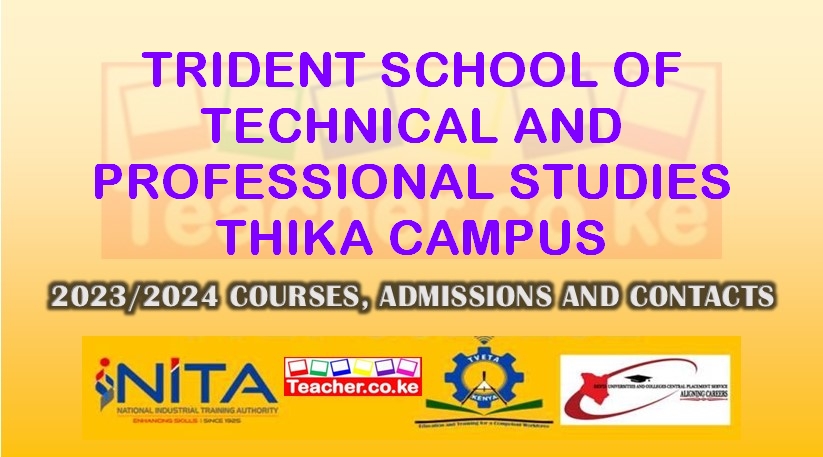 Trident School Of Technical And Professional Studies - Thika Campus